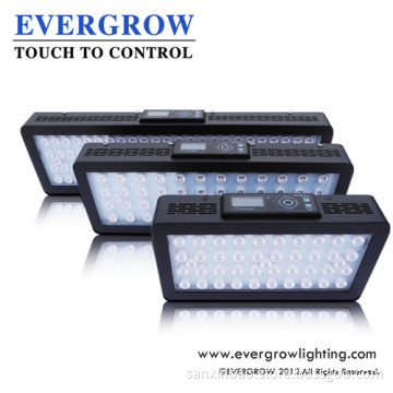 Bridgelux It2080 Marine Aquarium LED Lighting Panel Part
